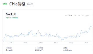 奇亚币今日行情 XCH目前多少美元能买到？