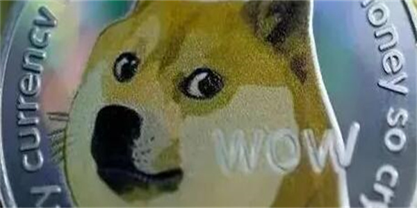 什么是狗狗币? DOGE加密货币初学者指南