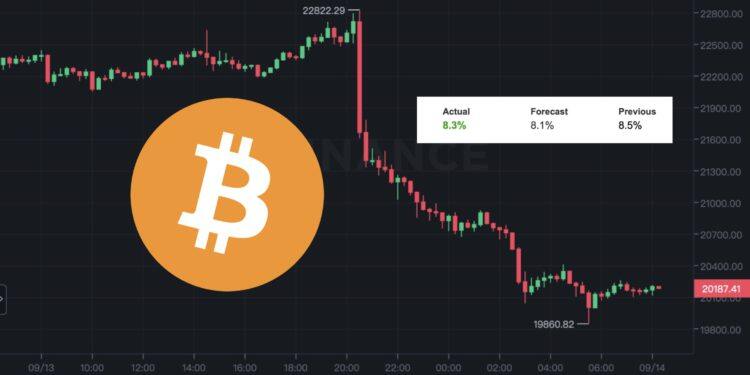 集体跳水！美8月CPI年增8.3％高预期 比特币跌12%破2万美元-第1张图片-欧易okex官网