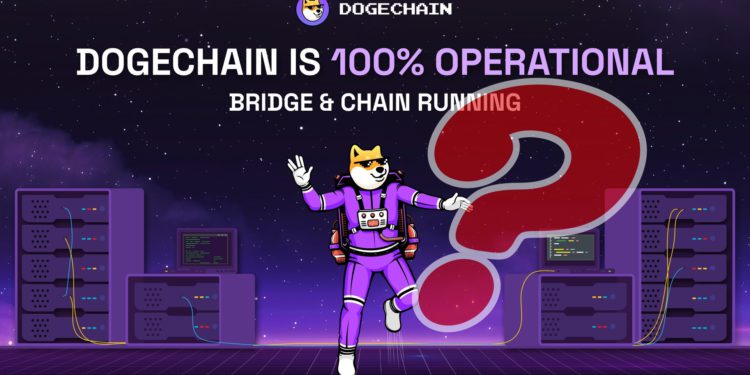 狗狗链遭黑停机疑云！开发者：bug误铸970万枚wDoge给他-第1张图片-欧易okex官网