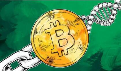 币赢交易所靠谱吗(币赢交易所app是骗局吗)-第1张图片-欧易okex官网