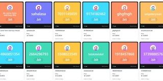 .bit成OpenSea推荐域名 慢雾科技创始人今申领.bit域名