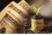 SBF：支持使用黑名单方式对加密货币行业进行监管