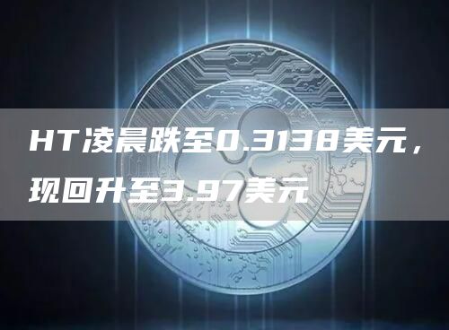 HT凌晨跌至0.3138美元，现回升至3.97美元1