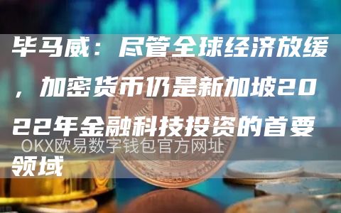 毕马威：尽管全球经济放缓，加密货币仍是新加坡2022年金融科技投资的首要领域1