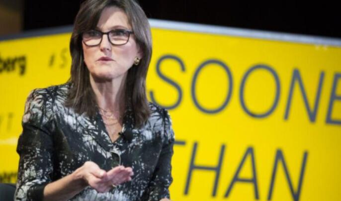 简单阐述华尔街女股神为什么坚定看多比特币？1