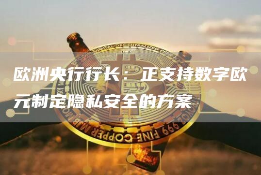 欧洲央行行长:正支持数字欧元制定隐私安全的方案1