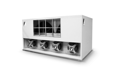 XEC的供应量是多少 XEC的安全性如何 XEC的供应量是多少 XEC的安全性如何