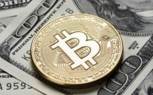 波卡币今日行情走势-波卡币实时价格走势-7月5日波卡币最新价格