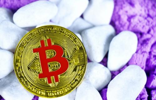 柚子币现在多少钱一枚？柚子币实时价格行情走势（7月10日）