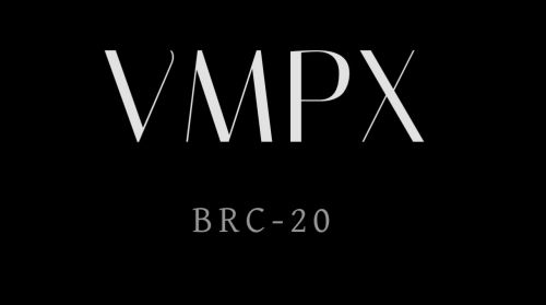 VMPX(Ordinals)币是什么?-第1张图片-Gate.io