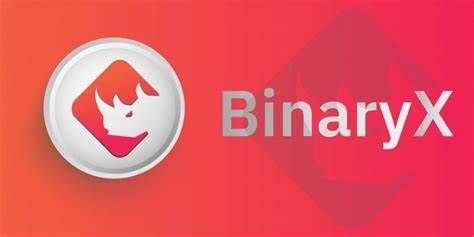 什么是BinaryX币-第1张图片-Gate.io