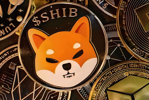 哪个交易所比较适合新手-第1张图片-Gate.io 哪个交易所比较适合新手-第1张图片-Gate.io