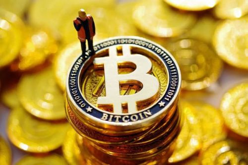 宝贝狗币BabyDoge是什么？宝贝狗币目前的价格是多少？-第1张图片-Gate.io